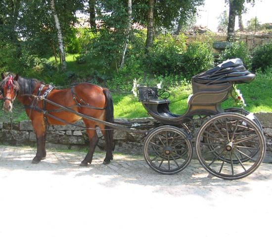 Hotel Rio Beca Boticas Facilități foto